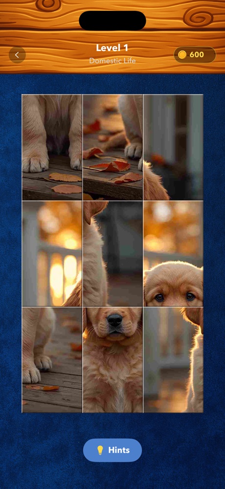 Jigsofun Screenshot 1