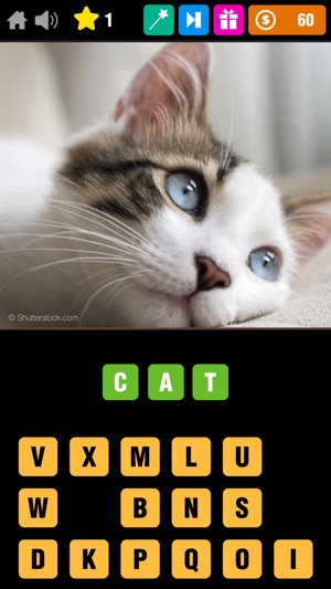 Pics Quiz Screenshot 1